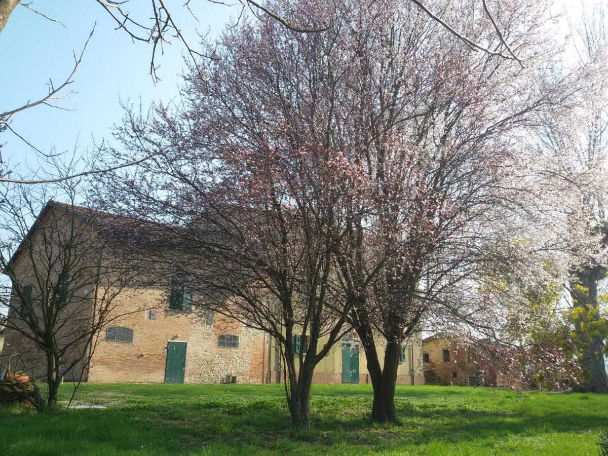Il Boschetto Di Morgana Panzió Castel San Pietro Terme Kültér fotó